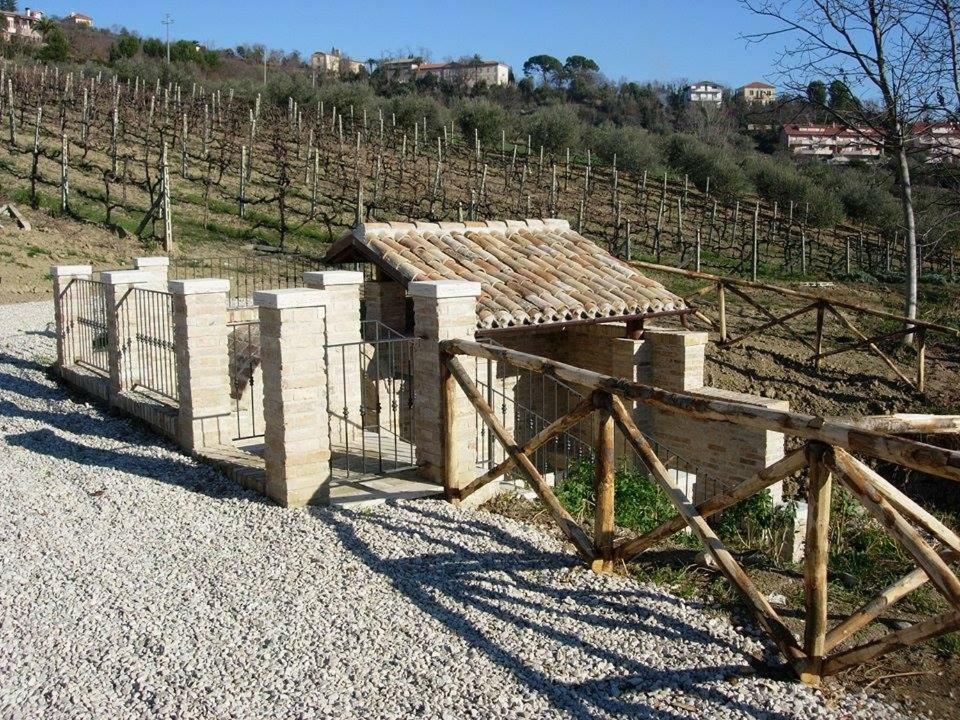 B&B L' Antica Fonte Spinetoli Exteriér fotografie