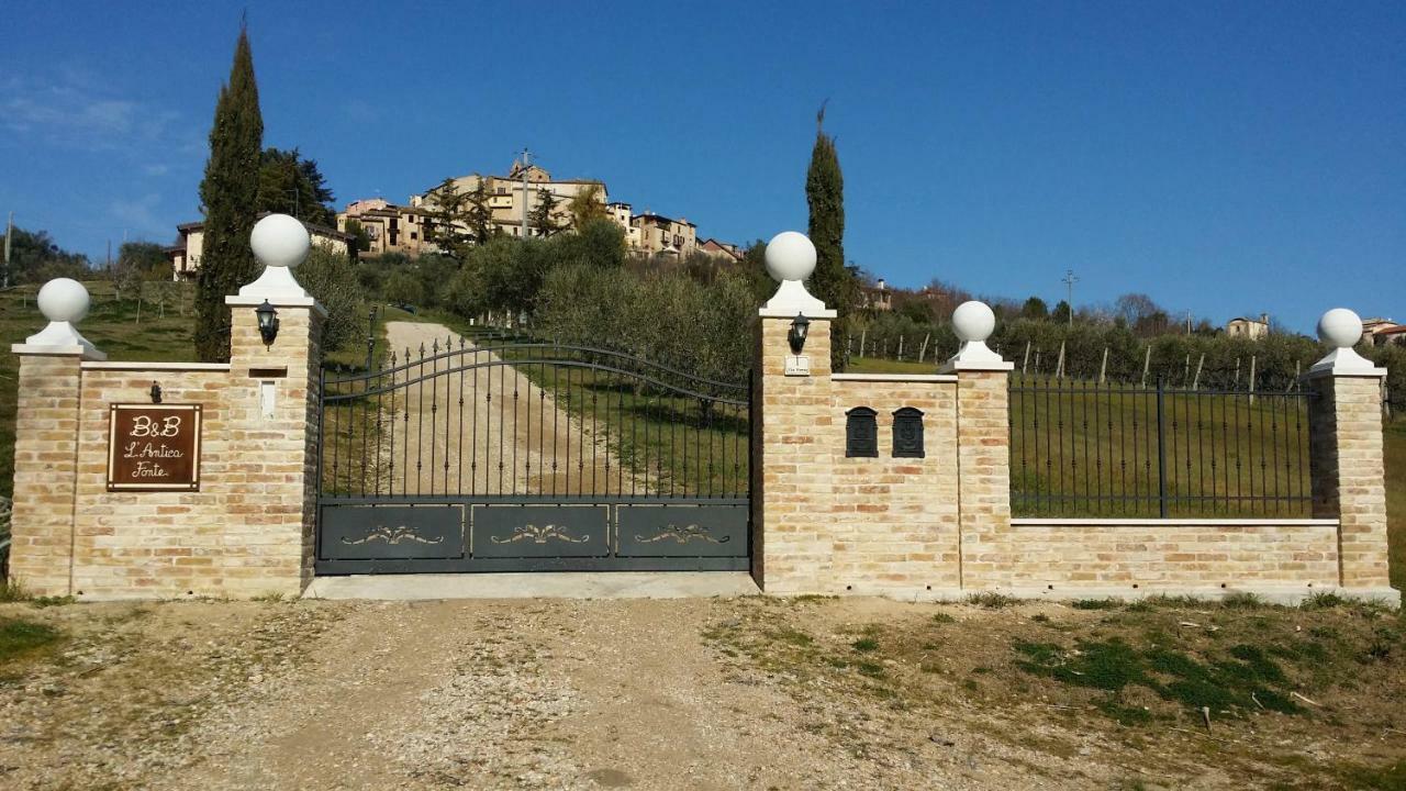B&B L' Antica Fonte Spinetoli Exteriér fotografie
